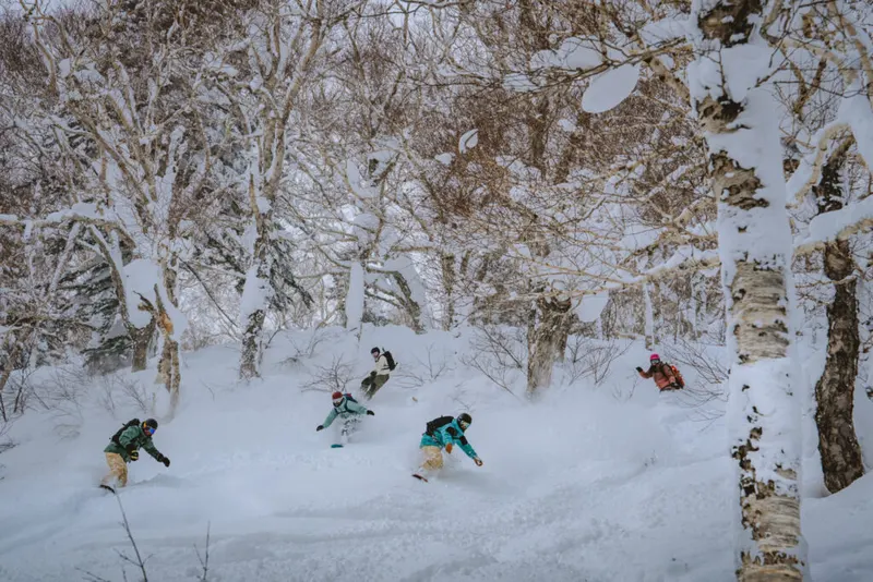 Snowboarder nella neve fresca in un bosco di betulle